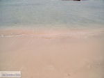 JustGreece.com Sandy beach Elafonisi (Elafonissi) | Chania Crete | Chania Prefecture 38 - Foto van JustGreece.com