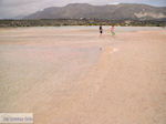 Sandy beach Elafonisi (Elafonissi) | Chania Crete | Chania Prefecture 41 - Photo JustGreece.com