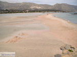 Sandy beach Elafonisi (Elafonissi) | Chania Crete | Chania Prefecture 43 - Photo JustGreece.com