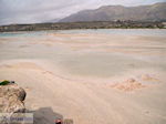 JustGreece.com Sandy beach Elafonisi (Elafonissi) | Chania Crete | Chania Prefecture 44 - Foto van JustGreece.com