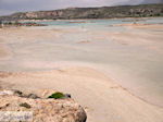 Sandy beach Elafonisi (Elafonissi) | Chania Crete | Chania Prefecture 45 - Photo JustGreece.com
