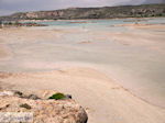JustGreece.com Sandy beach Elafonisi (Elafonissi) | Chania Crete | Chania Prefecture 45 - Foto van JustGreece.com