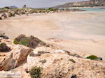 JustGreece.com Sandy beach Elafonisi (Elafonissi) | Chania Crete | Chania Prefecture 46 - Foto van JustGreece.com