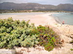JustGreece.com Sandy beach Elafonisi (Elafonissi) | Chania Crete | Chania Prefecture 49 - Foto van JustGreece.com