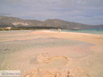 Sandy beach Elafonisi (Elafonissi) | Chania Crete | Chania Prefecture 60 - Photo JustGreece.com