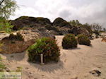 JustGreece.com Sandy beach Elafonisi (Elafonissi) | Chania Crete | Chania Prefecture 61 - Foto van JustGreece.com