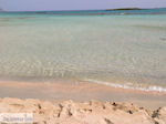 Sandy beach Elafonisi (Elafonissi) | Chania Crete | Chania Prefecture 64 - Photo JustGreece.com
