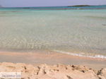 JustGreece.com Sandy beach Elafonisi (Elafonissi) | Chania Crete | Chania Prefecture 64 - Foto van JustGreece.com