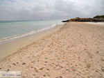 JustGreece.com Sandy beach Elafonisi (Elafonissi) | Chania Crete | Chania Prefecture 66 - Foto van JustGreece.com