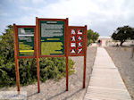 JustGreece.com Sandy beach Elafonisi (Elafonissi) | Chania Crete | Chania Prefecture 77 - Foto van JustGreece.com