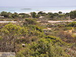 Sandy beach Elafonisi (Elafonissi) | Chania Crete | Chania Prefecture 79 - Photo JustGreece.com