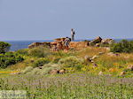 Ancient Falassarna (Falasarna) Chania Crete | Greece | Photo 27 - Photo JustGreece.com