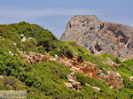 JustGreece.com Ancient Falassarna (Falasarna) Chania Crete | Greece | Photo 32 - Foto van JustGreece.com