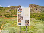 Ancient Falassarna (Falasarna) Chania Crete | Greece | Photo 37 - Photo JustGreece.com
