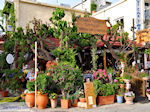 JustGreece.com Georgioupolis | Chania Crete | Chania Prefecture 19 - Foto van JustGreece.com