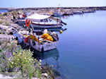 JustGreece.com Kolymbari | Chania Crete | Chania Prefecture 24 - Foto van JustGreece.com