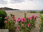 Damnoni (Damnioni) Crete | Greece | Greece  Photo 12 - Photo JustGreece.com