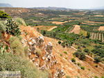 Festos Crete |Phaestos | Phaistos Greece  Photo 23 - Photo JustGreece.com