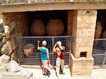 JustGreece.com Knossos Crete | Greece | Greece  Photo 19 - Foto van JustGreece.com