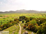 JustGreece.com Lassithi Plateau Crete | Greece | Greece  Photo 11 - Foto van JustGreece.com