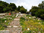 JustGreece.com Lassithi Plateau Crete | Greece | Greece  Photo 17 - Foto van JustGreece.com