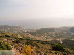 Malia Crete | Greece | Greece  Photo 8 - Photo JustGreece.com