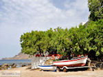 JustGreece.com Plakias Crete | Greece | Greece  Photo 7 - Foto van JustGreece.com