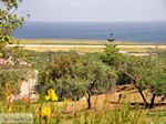 Maleme | Chania Crete | Chania Prefecture 15 - Photo JustGreece.com