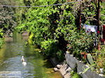 JustGreece.com Leuk small village Patelari near Platanias and Stalos (Platanias Chania Crete - Stalos Chania Crete) Photo 2  | Chania | Crete - Foto van JustGreece.com