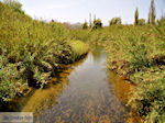 JustGreece.com The River in Platanias  | Chania | Crete - Foto van JustGreece.com