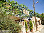 JustGreece.com Taverna Matigis in Stalos  | Chania | Crete - Foto van JustGreece.com