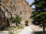 JustGreece.com Samaria gorge | Crete | Greece Photo 1 - Foto van JustGreece.com
