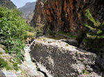 Samaria gorge | Crete | Greece Photo 7 - Photo JustGreece.com