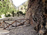 Samaria gorge | Crete | Greece Photo 26 - Photo JustGreece.com