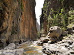 JustGreece.com Samaria gorge | Crete | Greece Photo 40 - Foto van JustGreece.com