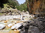 JustGreece.com Samaria gorge | Crete | Greece Photo 41 - Foto van JustGreece.com