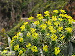 JustGreece.com Traditional Village Topolia | Chania Crete | Chania Prefecture 21 - Foto van JustGreece.com