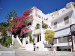 JustGreece.com Agia Galini Crete - Photo 2 - Foto van JustGreece.com