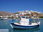 JustGreece.com Agia Galini Crete - Photo 20 - Foto van JustGreece.com