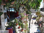 JustGreece.com Agia Galini Crete - Photo 71 - Foto van JustGreece.com