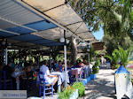 Agia Galini Crete - Photo 119 - Photo JustGreece.com