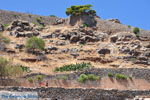 JustGreece.com Spinalonga Crete | Greece | Greece  - Photo 056 - Foto van JustGreece.com