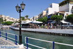 JustGreece.com Agios Nikolaos | Crete | Greece  - Photo 0031 - Foto van JustGreece.com