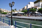 Agios Nikolaos | Crete | Greece  - Photo 0031 - Photo JustGreece.com