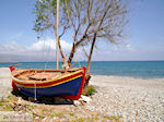 JustGreece.com Maleme beach | Chania Crete | Greece | Photo 1 - Foto van JustGreece.com