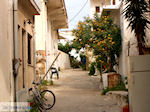 JustGreece.com Paleochora Crete | Chania Prefecture | Greece | Greece  Photo 17 - Foto van JustGreece.com