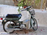 JustGreece.com Vori Heraklion Crete - Photo 8 - Foto van JustGreece.com