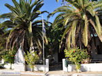 JustGreece.com Vori Heraklion Crete - Photo 13 - Foto van JustGreece.com