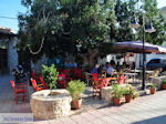 JustGreece.com Vori Heraklion Crete - Photo 26 - Foto van JustGreece.com