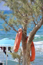 Kalamaki Crete | South Crete | Greece  Photo 29 - Photo JustGreece.com